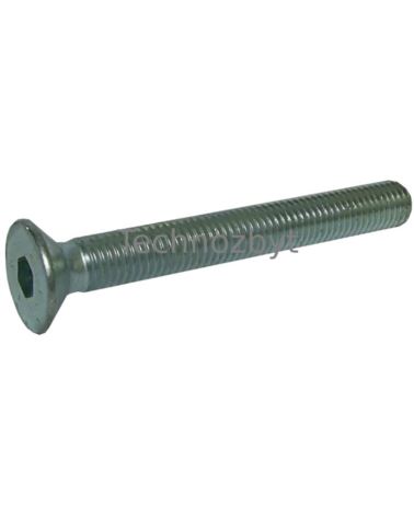 Tandem roller screw