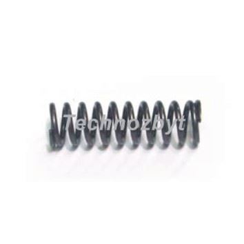 Valve spring