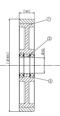 300x50-50 Load wheel NDI BT 185554