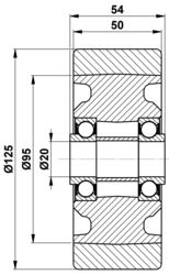 125x50/54-20 Wheel BT171999 252735