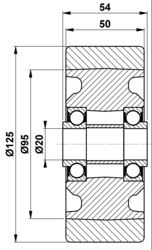 125x50/54-20 Wheel NDI PT+  BT171999 252735