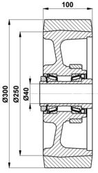300x100-40 Load wheel Vulkollan BT217629
